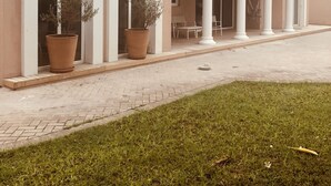 Ein Gebäude mit Ziegeldach, Bogenfenstern und einer überdachten Terrasse mit Kübelpflanzen und Gartenmöbeln.