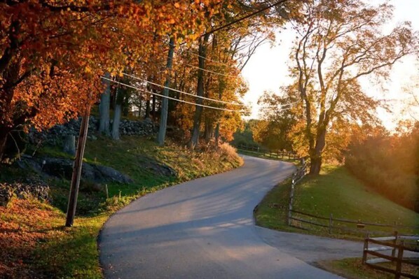 Property grounds - Club Getaway Mountain View 1 (Kent)