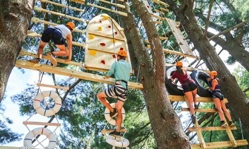 Un groupe de personnes se trouve sur une structure d’escalade en bois, située dans une forêt.