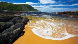 Une plage à l’eau claire, avec un rivage rocheux et des collines verdoyantes en arrière-plan.