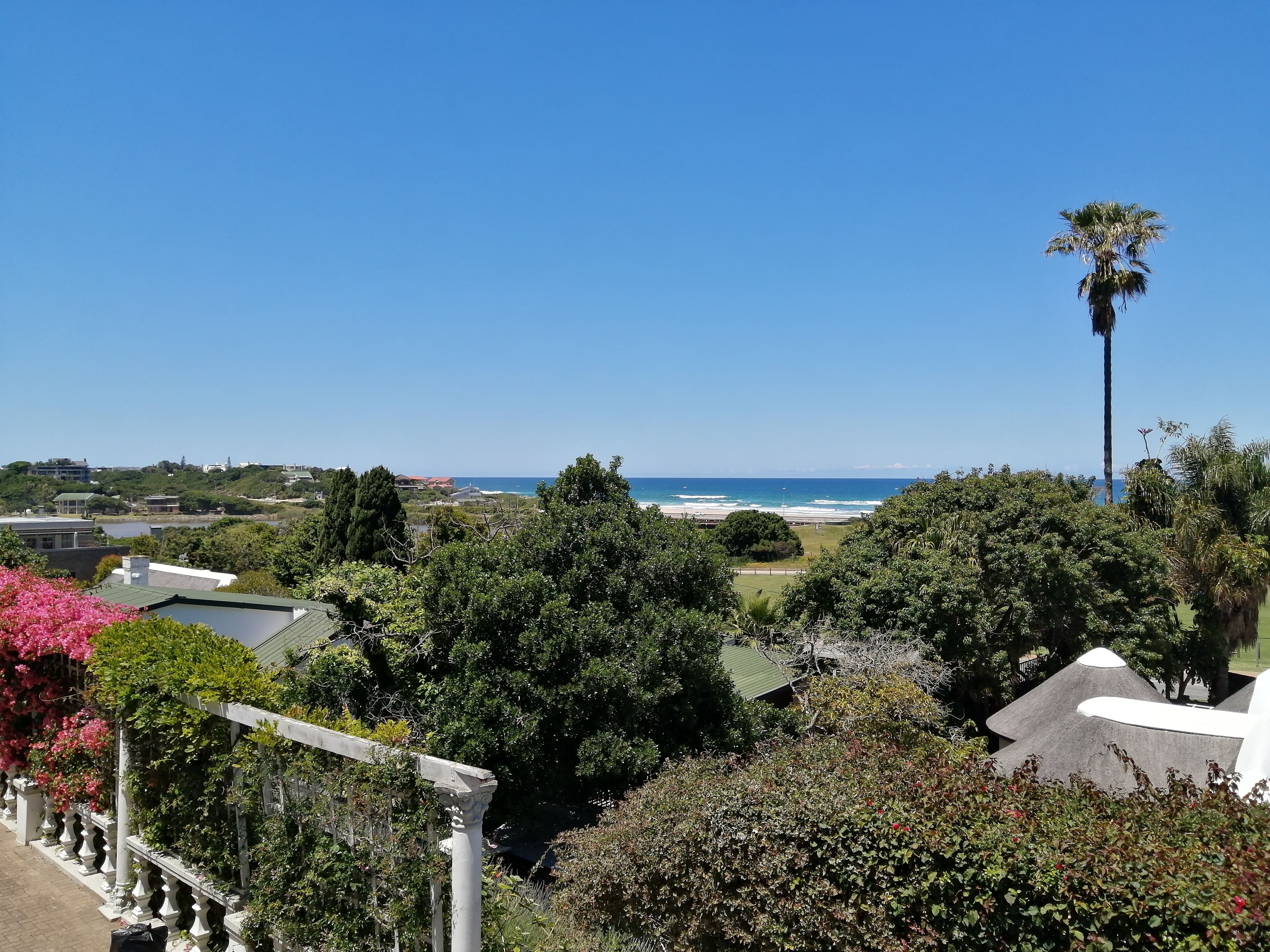 A coastal view with a beach, palm trees, and residential buildings.