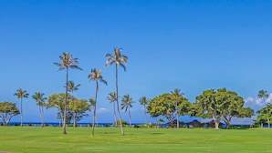 A grassy field with palm trees and a clear blue sky.