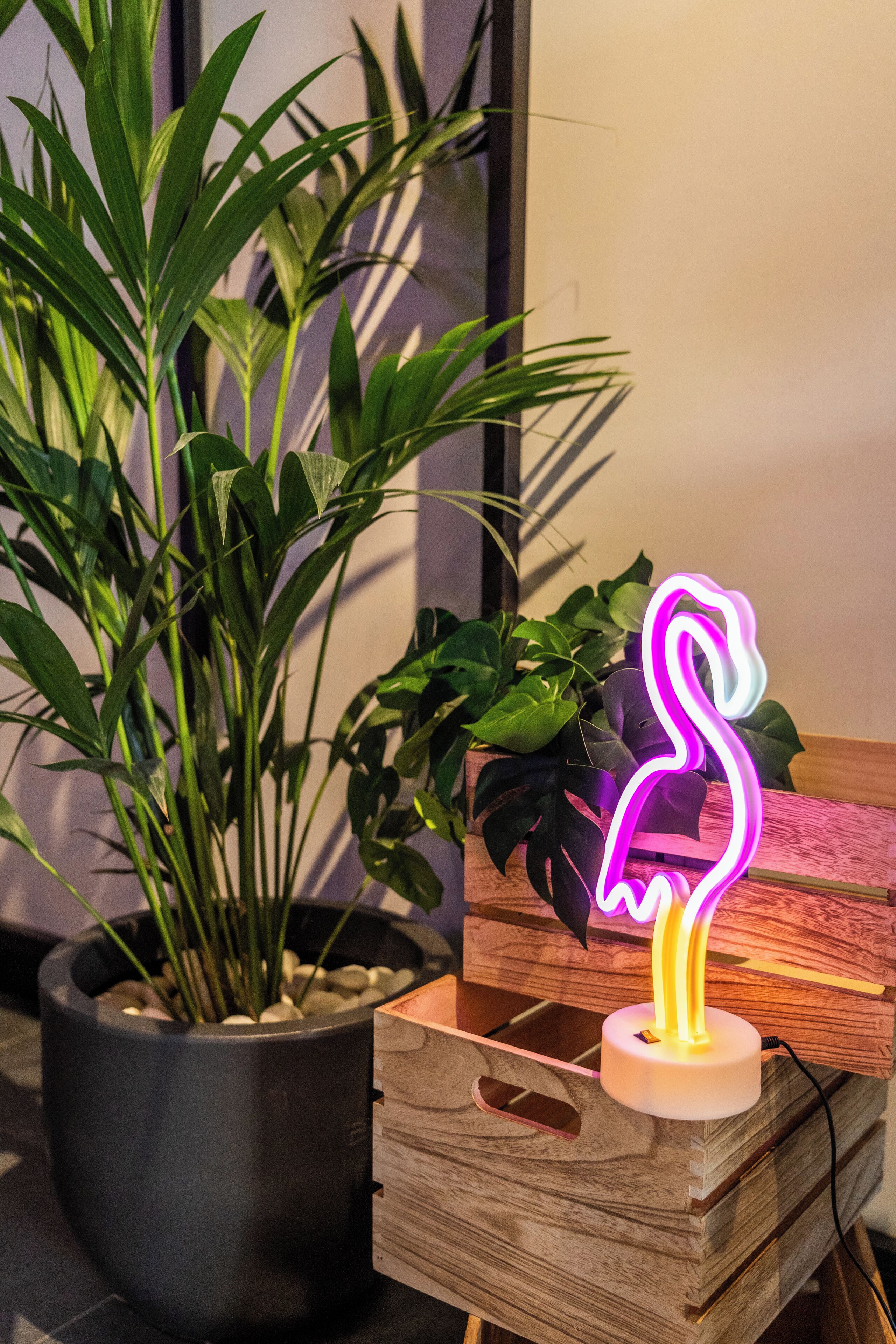 Photo - Onmood Cala Ratjada - Bed & Brunch