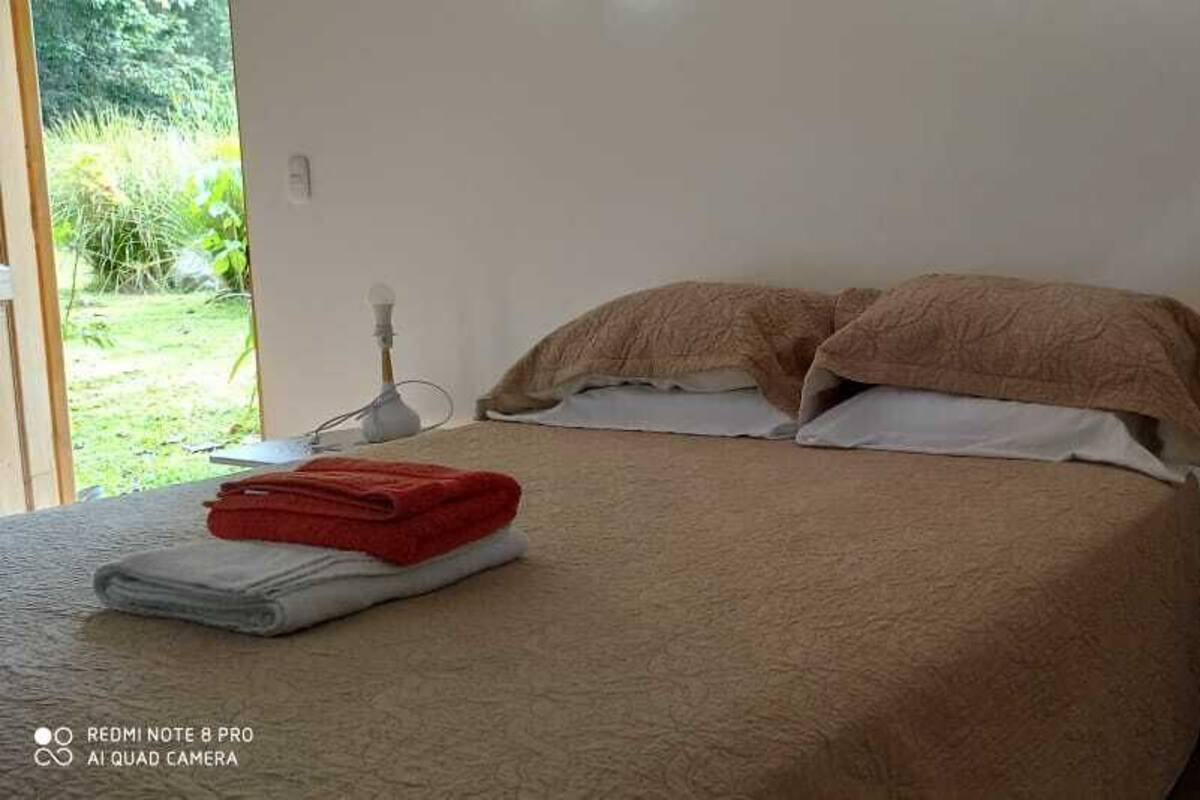 A bedroom with a bed, pillows, a bedside table with a lamp, and a window with a view of greenery.