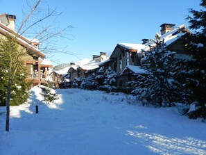 Exterior - FAB FITZWALK Townhome FAMILY GETAWAY! Hot Tub, 2 car garage, minutes to Village (Whistler)