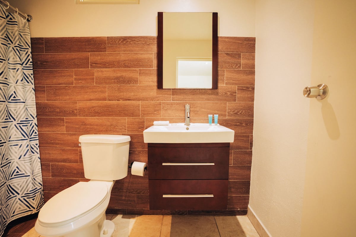 shower, free toiletries, hair dryer, towels