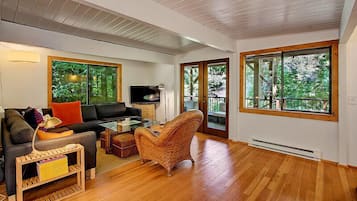 Televisión, chimenea y reproductor de DVD