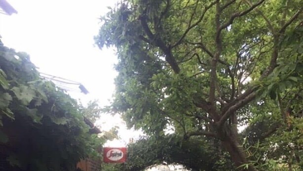 A brick-paved pathway lined with lush greenery and a red sign overhead. - Self Contained Coach House (Bromley)