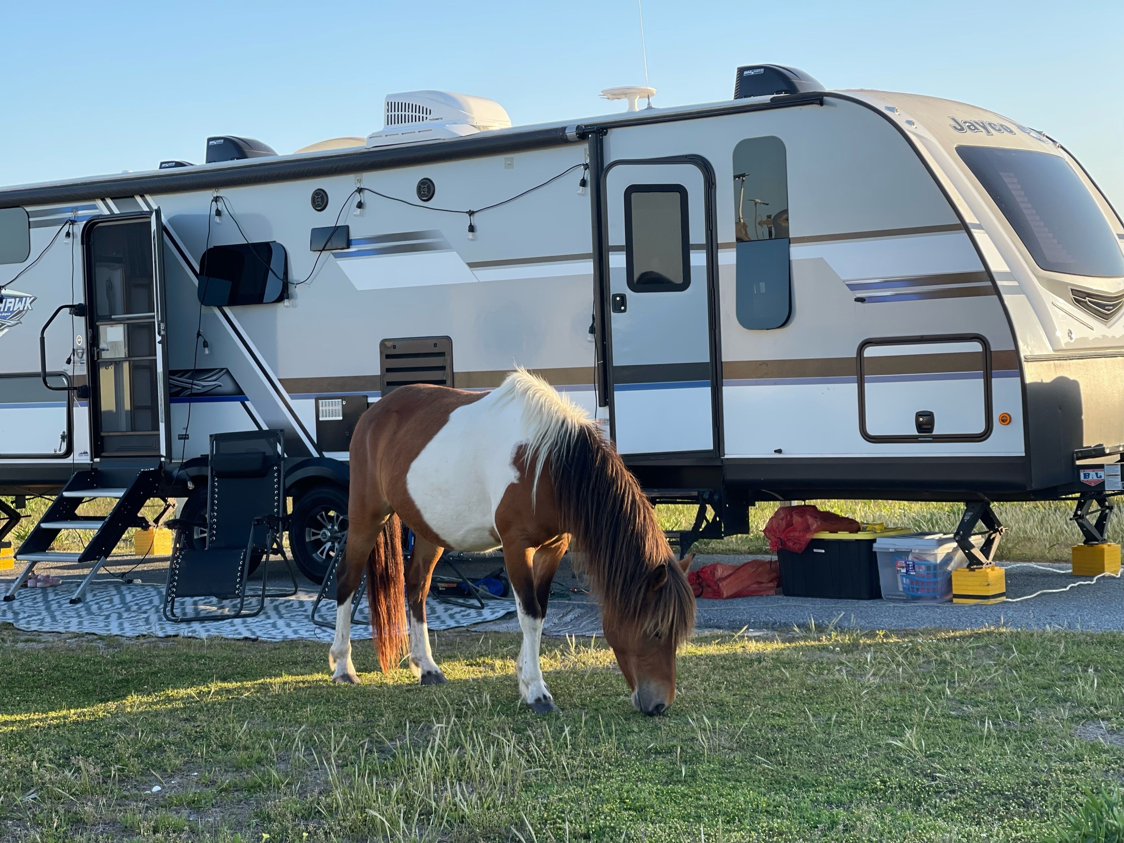 Shiloh Acres Farmhouse RV Stay