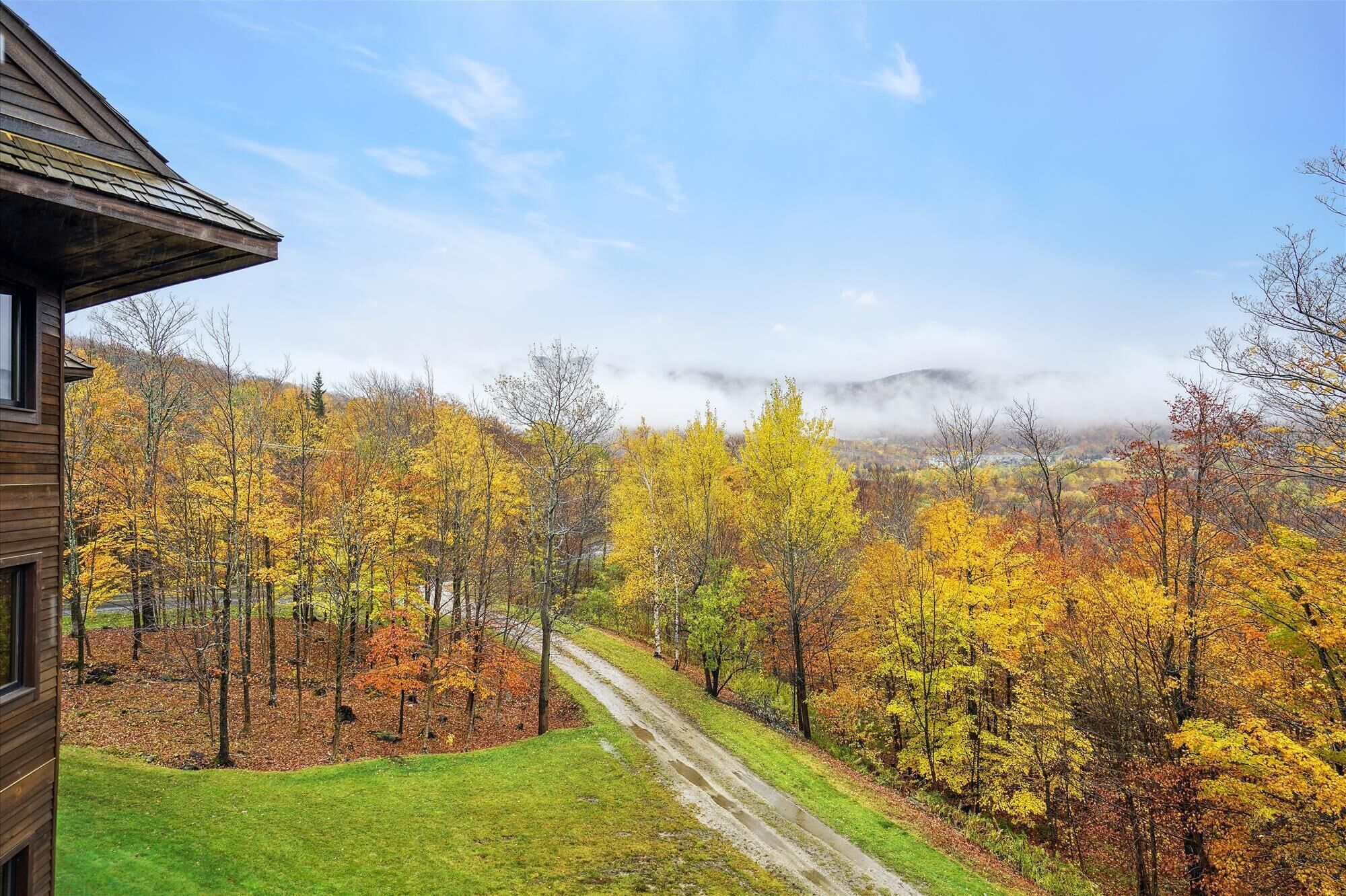 A wooden cabin with a view of a forested area and a road leading through it.