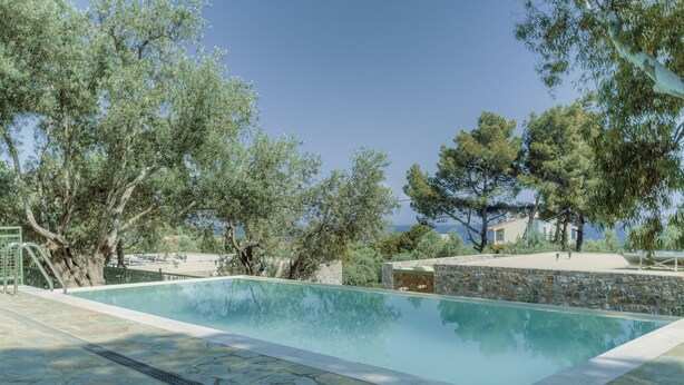 A swimming pool with stone tiles, surrounded by trees and a stone wall.