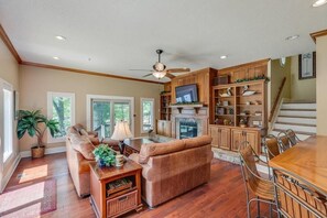 TV, fireplace, books, music library