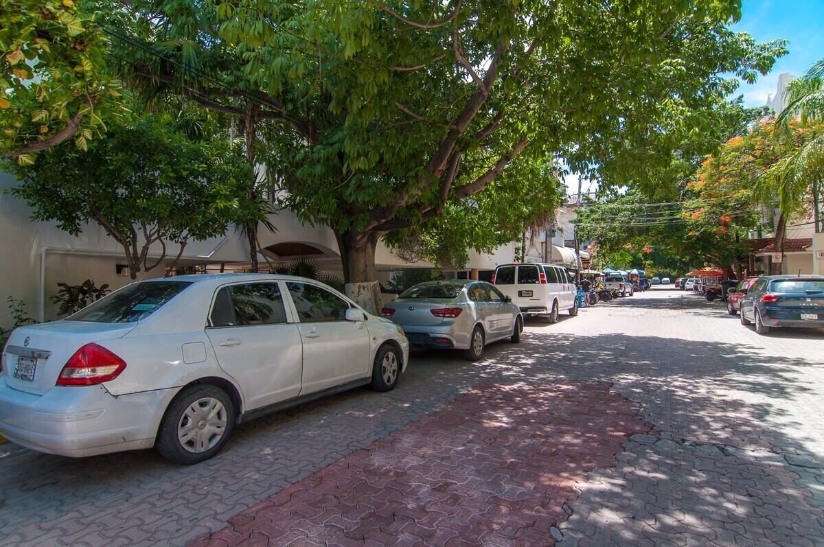 A street scene with parked cars and trees lining the road.