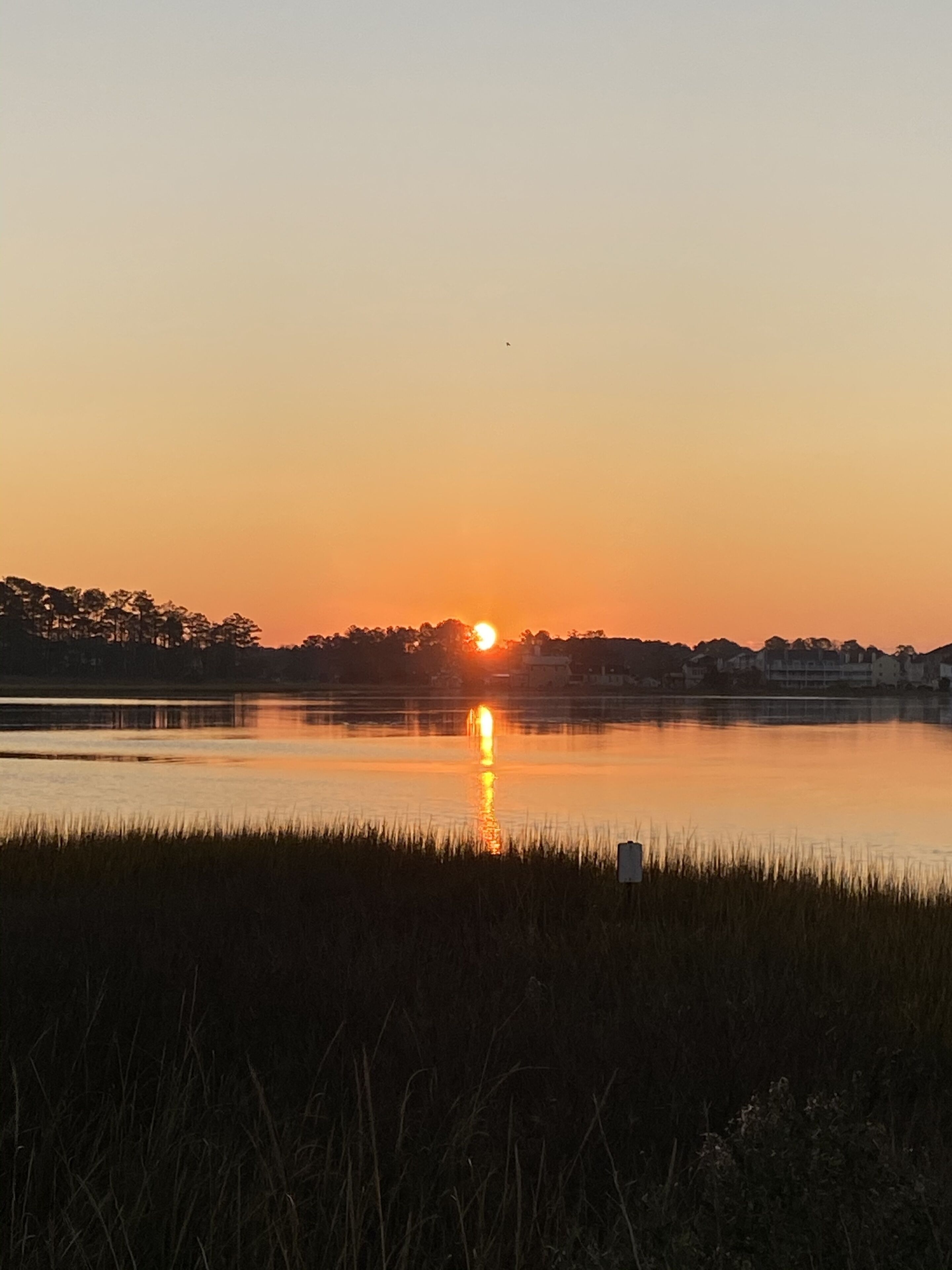 Sunrise over the bay from BB