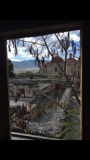 Economy-Doppelzimmer | Ausblick vom Zimmer