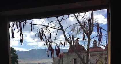 Mitla Backpacker