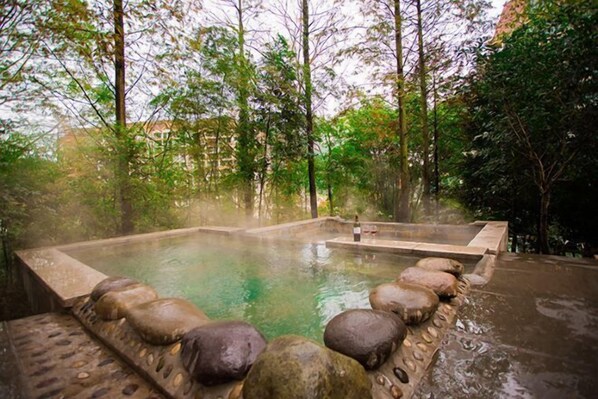 A hot spring surrounded by trees.