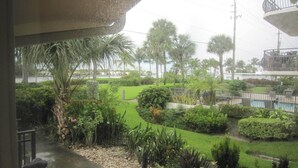 A view of a lush garden with palm trees and a swimming pool. - Waterfront, Ground-Floor private residence with Ocean & Inlet views (Palm Beach Shores)