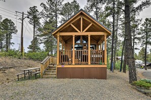 Exterior - Pagosa Springs Tiny Cabin: Fish, Hike, Ski & Soak! (Pagosa Springs)