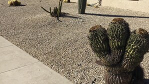 Il s’agit d’un quartier résidentiel où l’on trouve une maison dotée d’un toit en pente et de murs extérieurs de couleur beige. On peut y admirer plusieurs cactus dans le jardin, notamment un grand cactus élancé et quelques petits cactus plus arrondis.