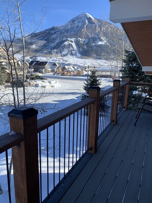 Property grounds - Luxury Home in Town, Hot Tub, Movie Theater, Large Fenced In Yard ⛰ (Crested Butte)