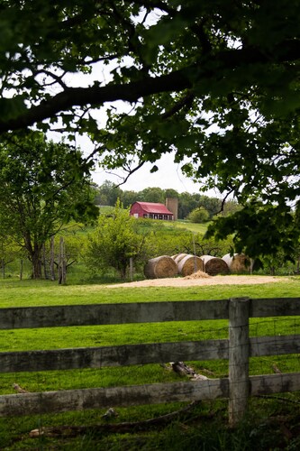 Historic Farmhouse Suite in Virginia Hunt & Wine Country
