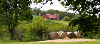 Historic Farmhouse Suite in Virginia Hunt & Wine Country