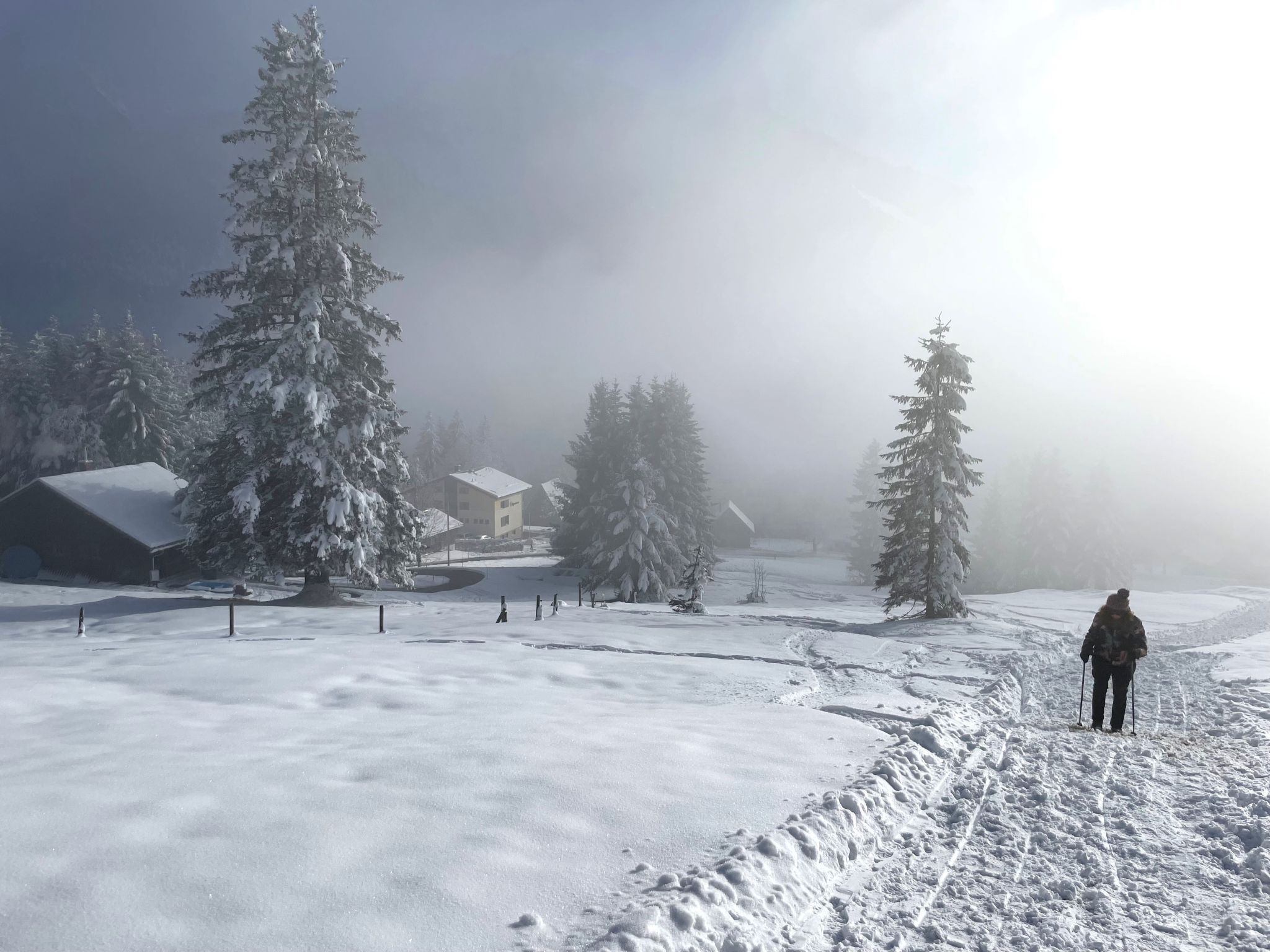 Eine verschneite Landschaft mit einer Person beim Skifahren.