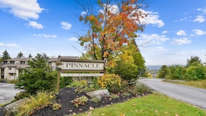 Unclassified image, 3 of 93, button - Pinnacle E23 (Killington)