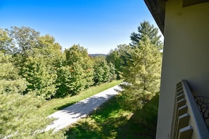 Condo, Multiple Beds (Pinnacle E23) | Property grounds