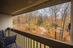 Balcony view - Pinnacle B20 (Killington)