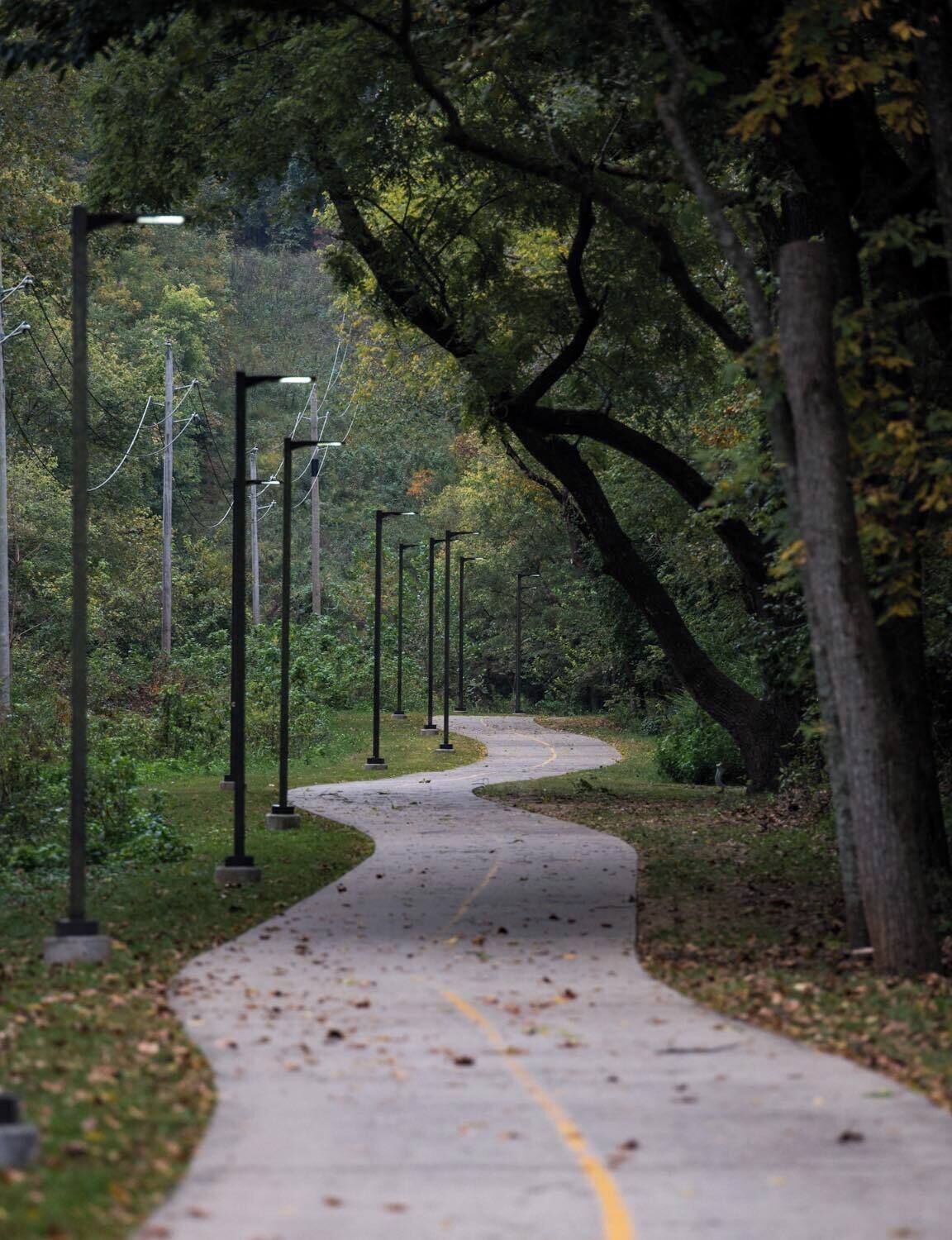 Un vialetto lastricato in un parco, con alberi e lampioni.