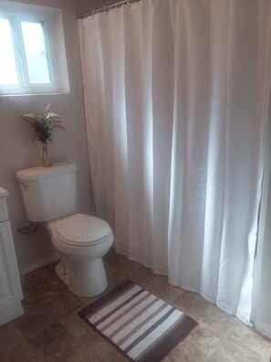 House (Cozy 1 br located on the west side of) | Bathroom - Cozy 1 br Located on the West Side of Rio Grande (Albuquerque)