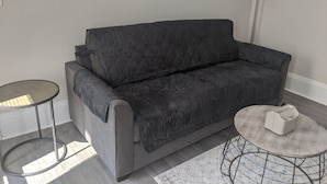Apartamento (Cozy, homey 1br near Buffalo Medical ) | Sala de estar | TV, lareira