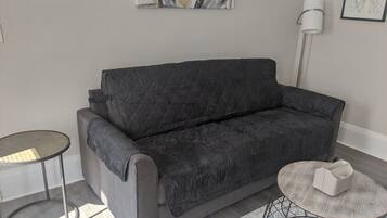 Apartment (Cozy, homey 1br near Buffalo Medical ) | Living room | TV, fireplace