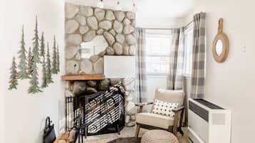TV, fireplace, books