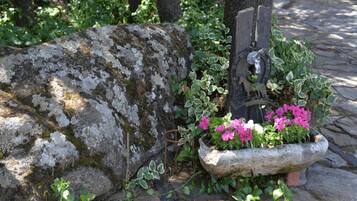 Detalle del exterior