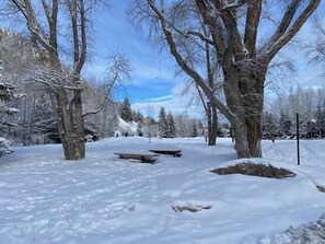 Huoneisto, 2 keskisuurta parisänkyä (Great Value Condominium in the heart ) | Ulkoalueet