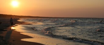 Strandidyll im Küstenwald vacation apartment 1 - Holiday apartment 1 (ground floor, left)