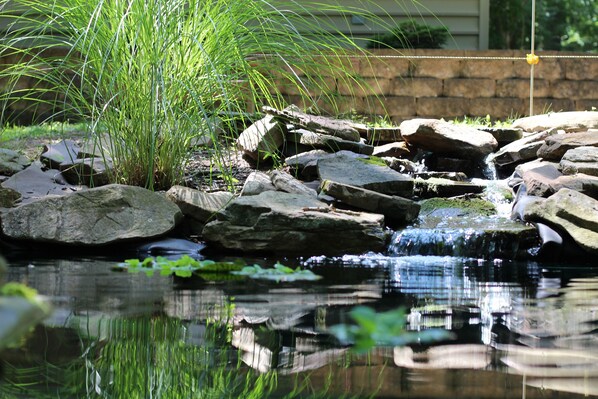 Terrain de l’hébergement 