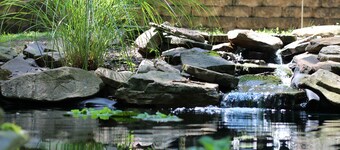 Cozy Cabin in the Woods, with a wood FIREPLACE, hiking, outdoor KIDS PLAY SET!