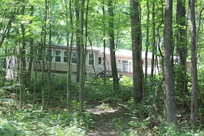A cabin surrounded by a dense forest with a visible deck and a dirt path leading to it.