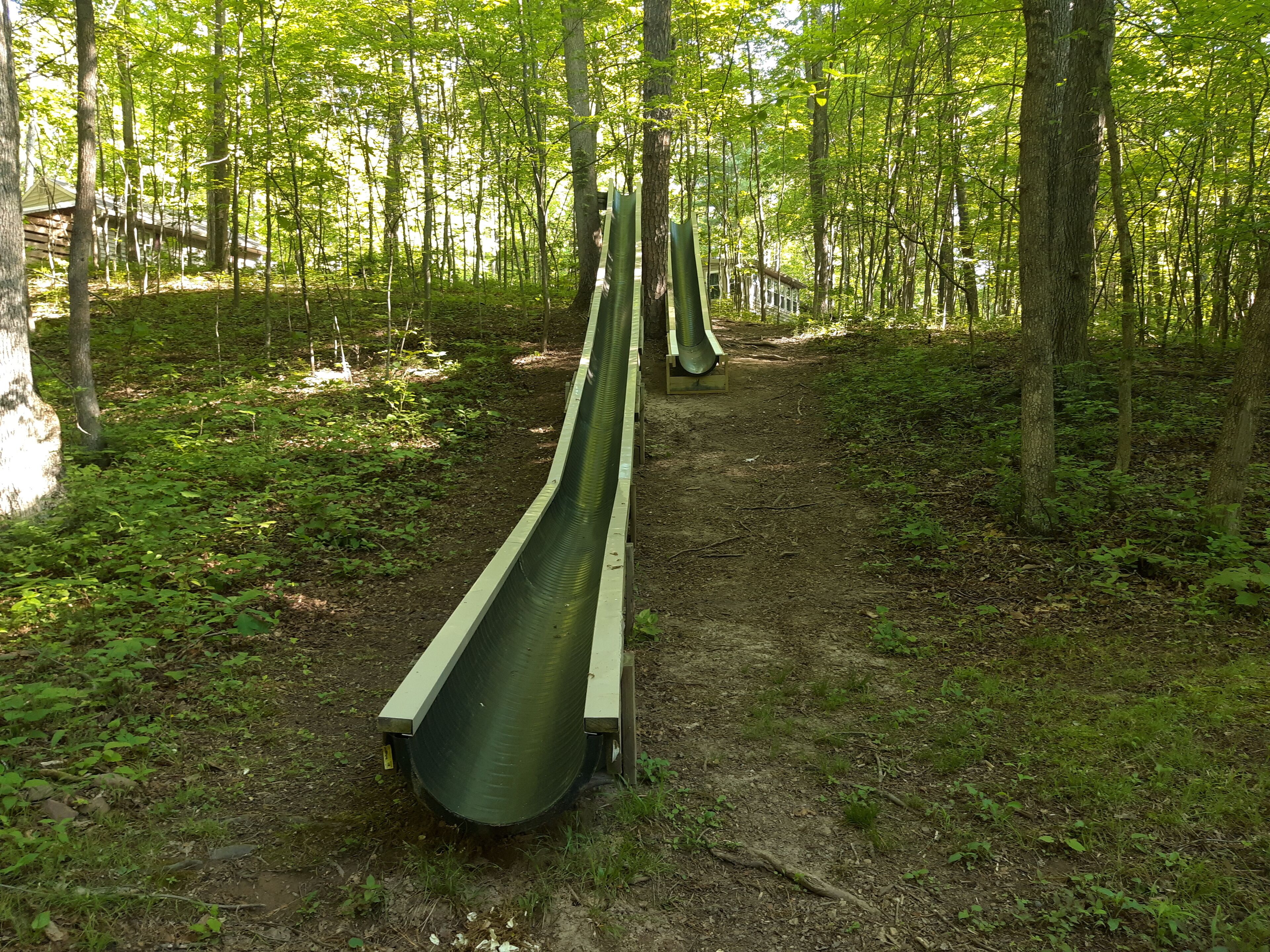 Une zone boisée avec un long toboggan étroit et vert.