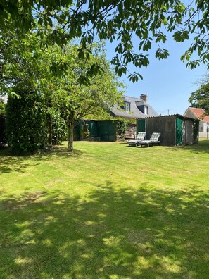 Une cour arrière verdoyante avec un petit abri de jardin, un arbre et une maison en arrière-plan.