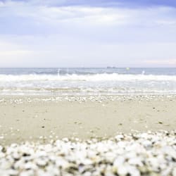 Beach nearby, white sand