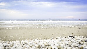 Una platja amb closques disperses i onades suaus.