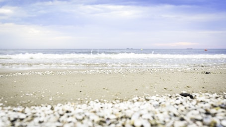 Beach nearby, white sand