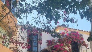 A building with a white facade, multiple balconies, and potted plants. - Appartement Palmeras Puerto Paraiso Estepona (Estepona)