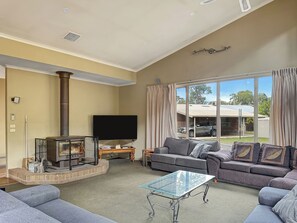 TV, fireplace, DVD player