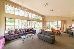 TV, fireplace, DVD player